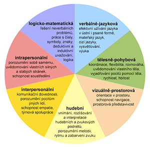 Schematické znázornění teorie mnohonásobné inteligence