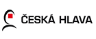 
	České hlavičky je projekt podpory talentované mládeže především v technických oborech a zvýšení zájmu mladých lidí o studium technických a přírodovědných oborů a vědeckou kariéru.